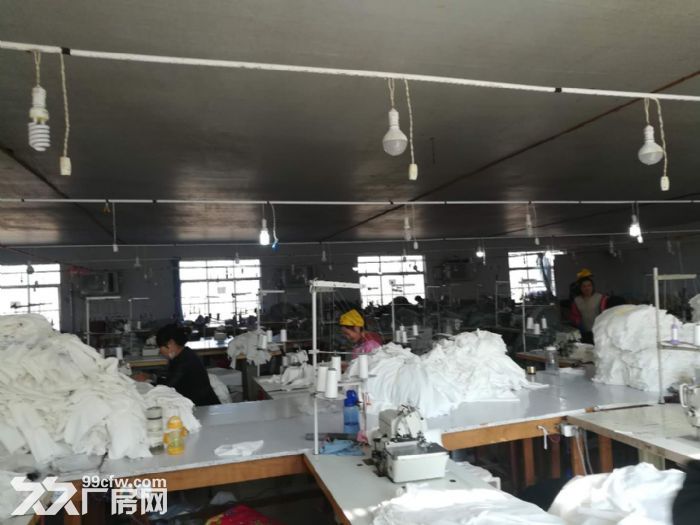 独门独院1000平米厂房出租