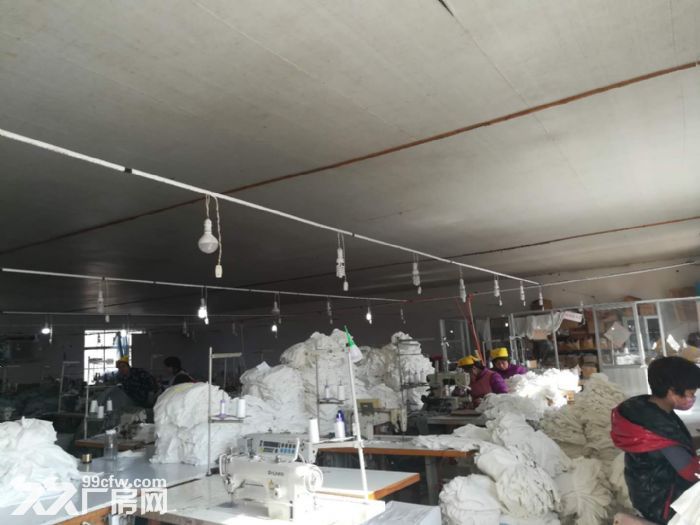 独门独院1000平米厂房出租-图2