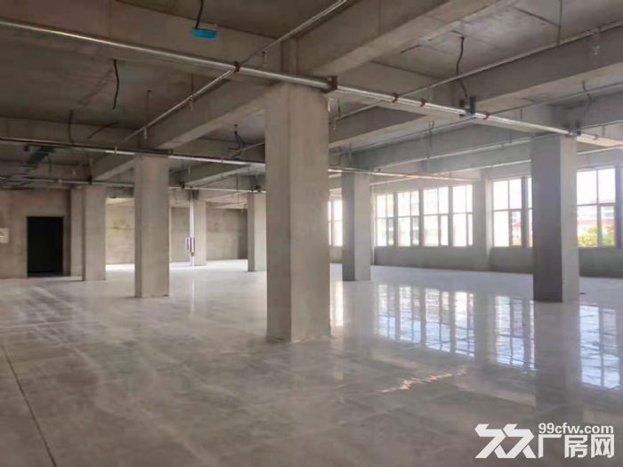 全新厂房出租，三层，带院，6500平方米，电梯-图3