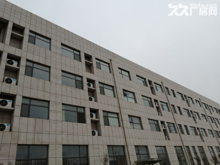 厂房、公寓楼、伙房餐厅出租-图2