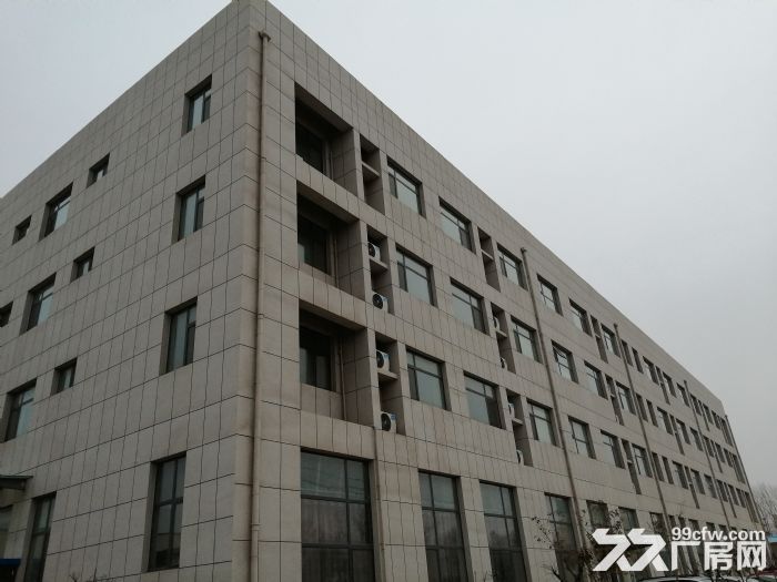 厂房、公寓楼、伙房餐厅出租-图3