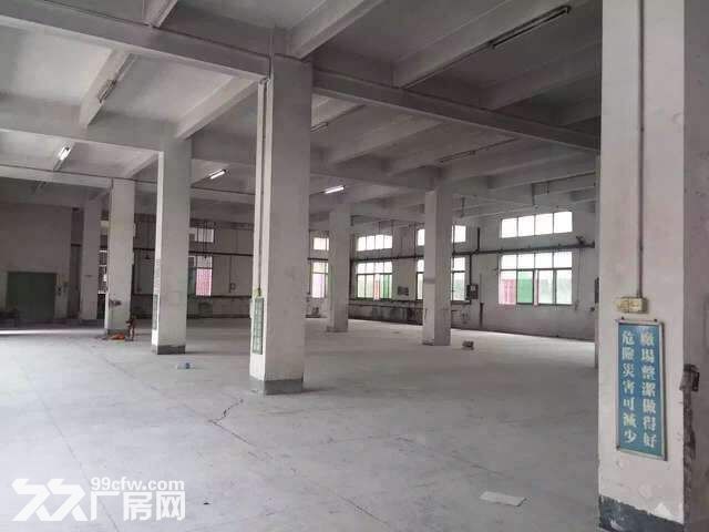 临沂一站式车间厂房标准化对外出租-图3